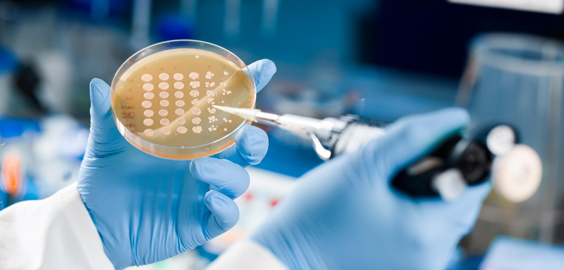 Technology Innovation<br>Empowering the Future